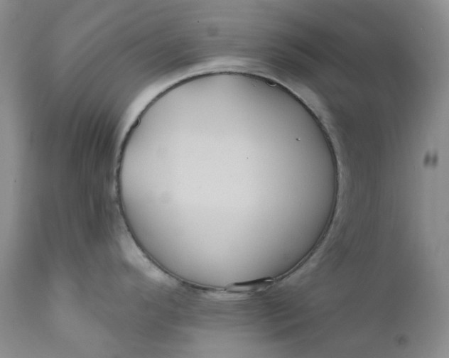 X0000112161296200908281355