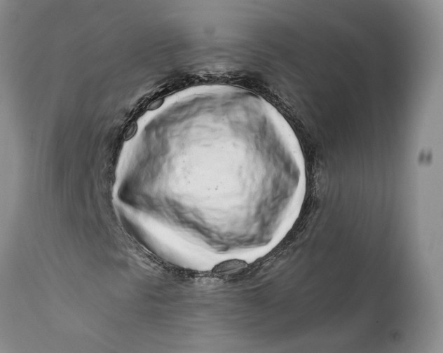 X0000112161297200908281354