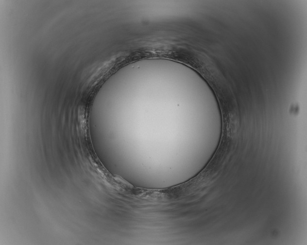 X0000112161298200908281354