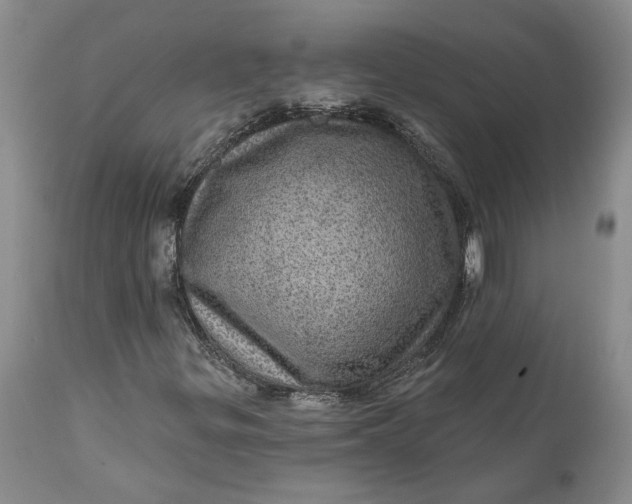 X0000112161299200908281354