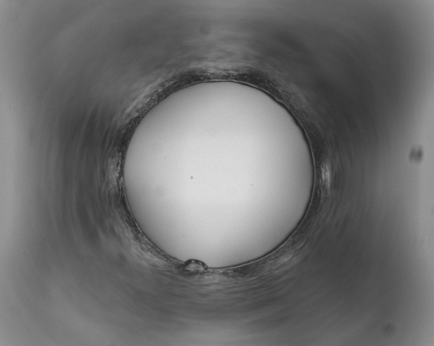 X0000112161300200908281354