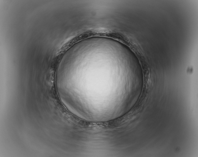 X0000112161301200908281354