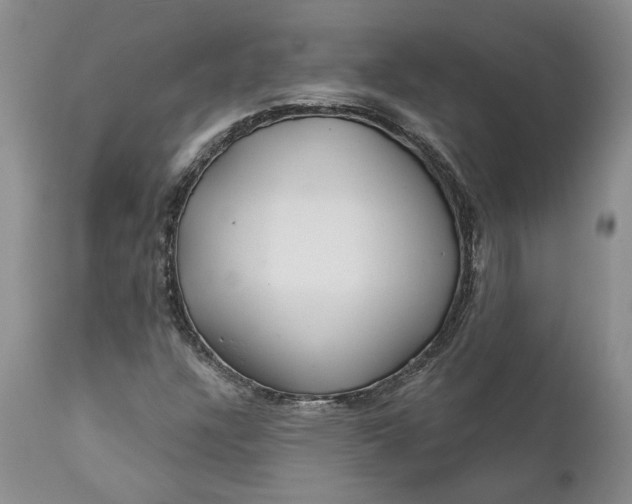 X0000112161304200908281354