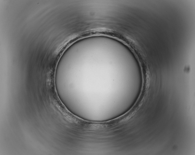 X0000112161305200908281354