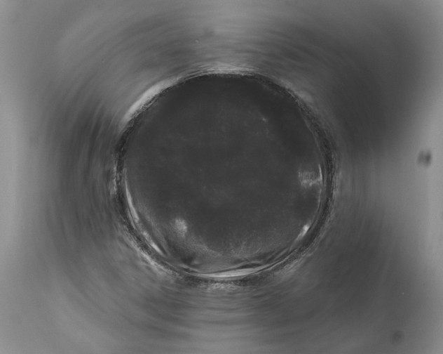 X0000112161306200908281354