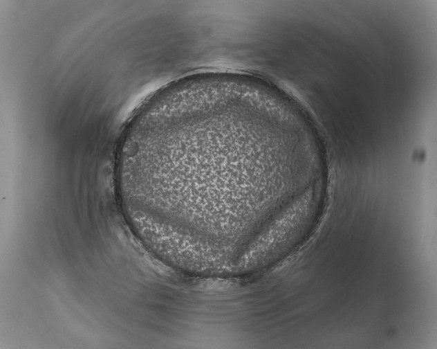 X0000112161307200908281354