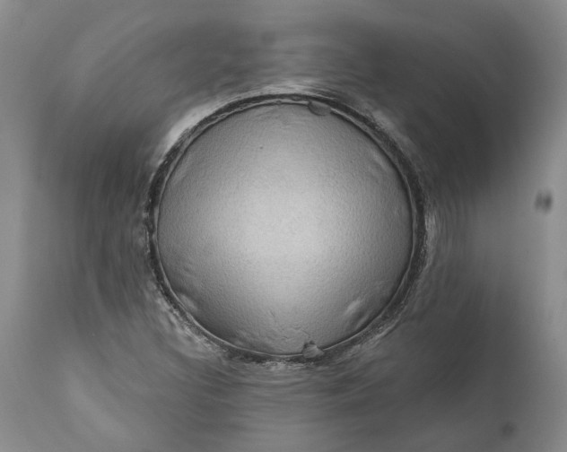 X0000112161308200908281354