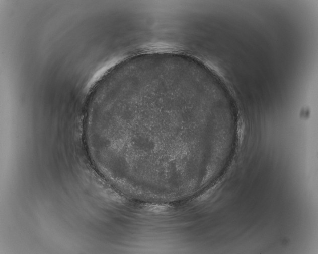 X0000112161309200908281354