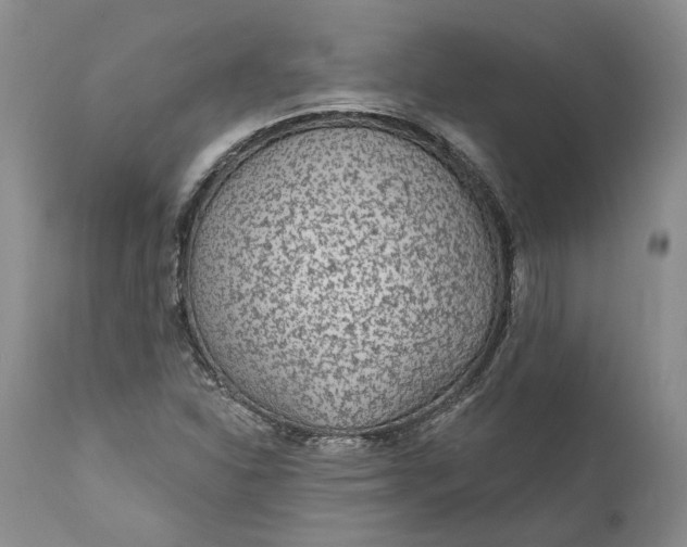 X0000112161310200908281354