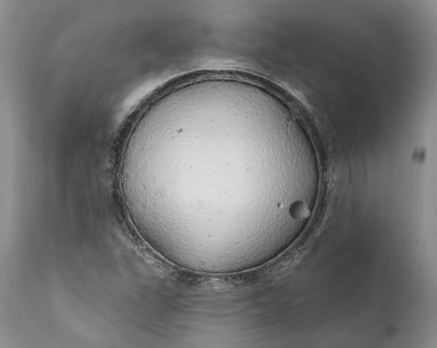 X0000112161311200908281354