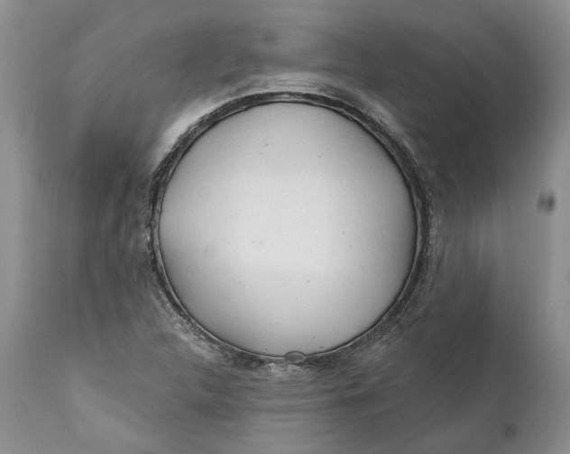 X0000112161312200908281354