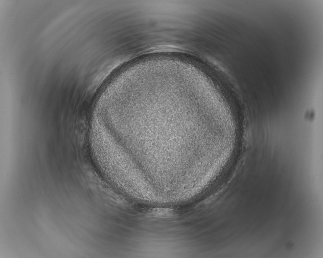 X0000112161313200908281354