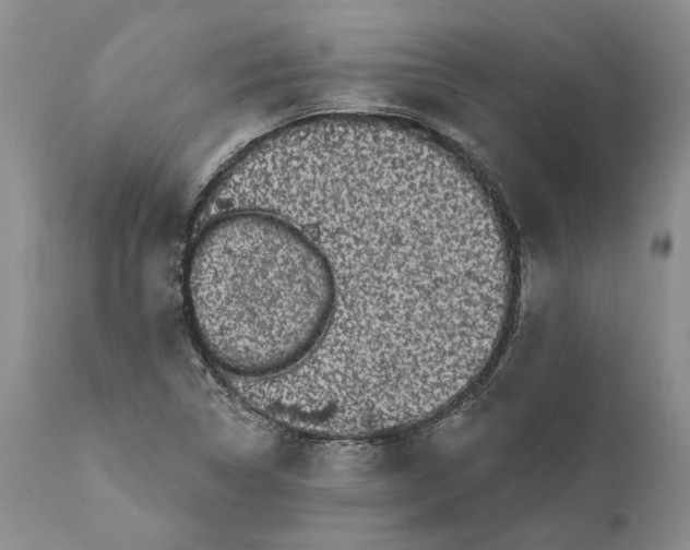 X0000112161314200908281354