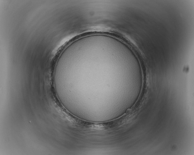 X0000112161315200908281354