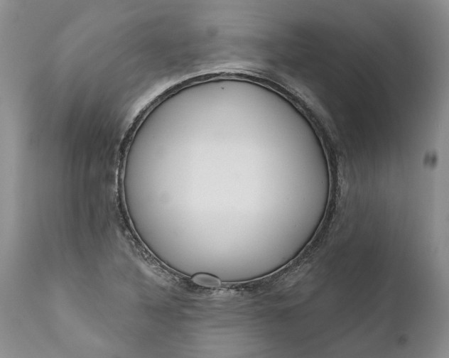 X0000112161316200908281354