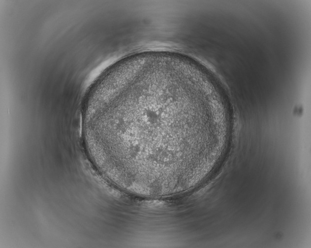 X0000112161317200908281354