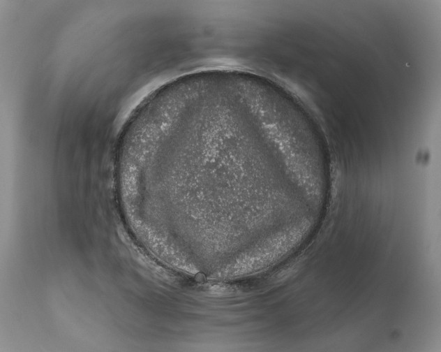 X0000112161318200908281354