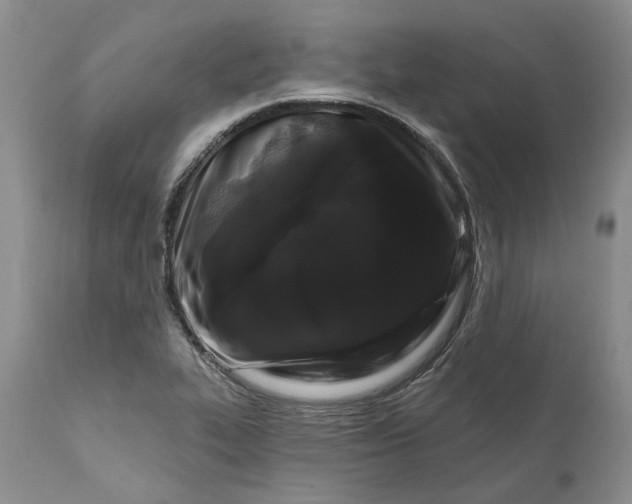 X0000112161319200908281354