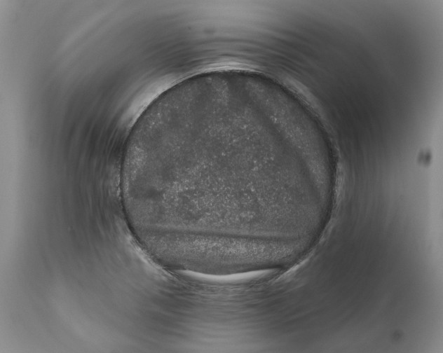 X0000112161321200908281354