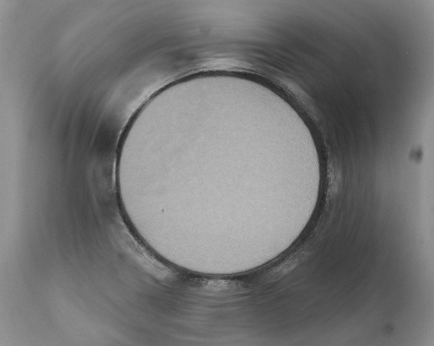 X0000112161322200908281354