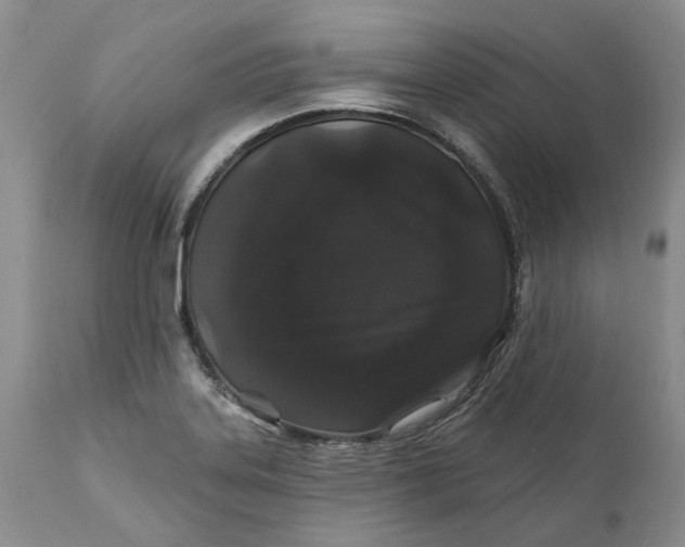 X0000112161323200908281354