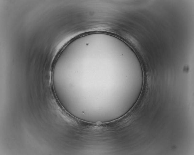 X0000112161324200908281354