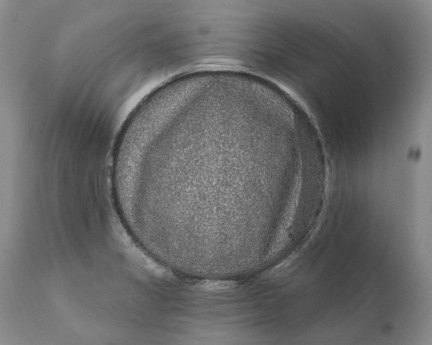 X0000112161325200908281354