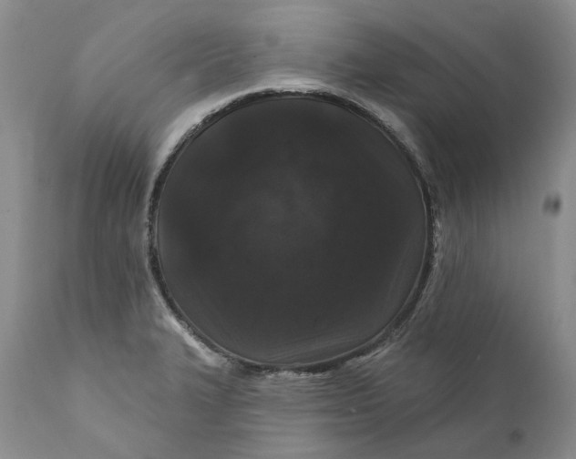 X0000112161327200908281355