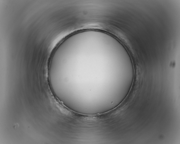 X0000112161328200908281355