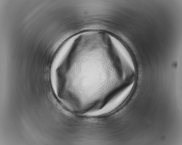 X0000112161329200908281355