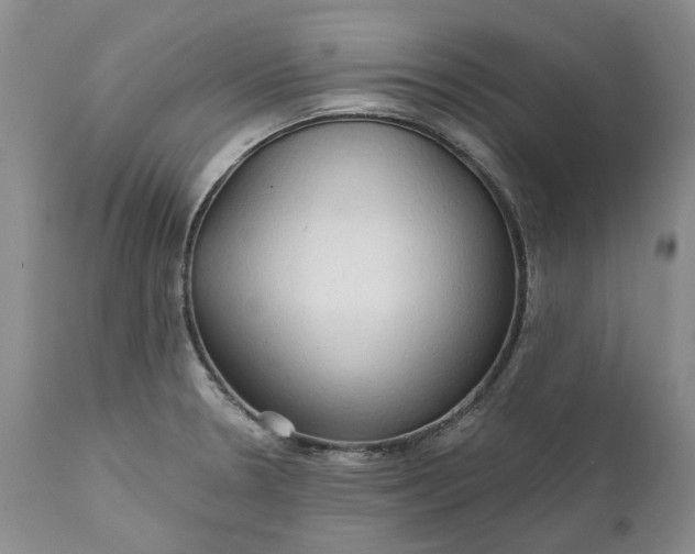 X0000112161330200908281355