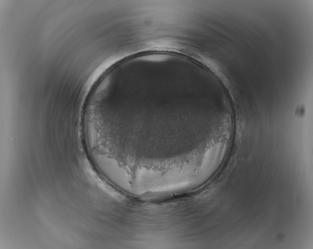 X0000112161331200908281355