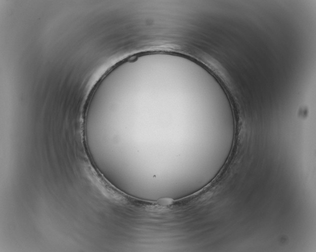 X0000112161332200908281355