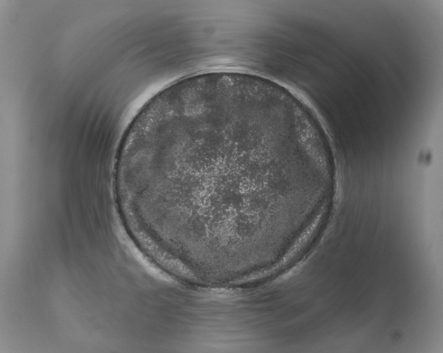 X0000112161333200908281355