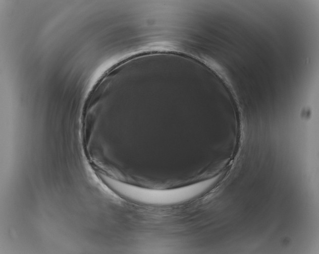 X0000112161334200908281355