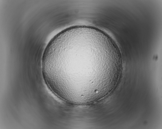 X0000112161335200908281355