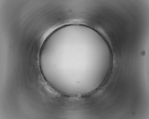 X0000112161336200908281355