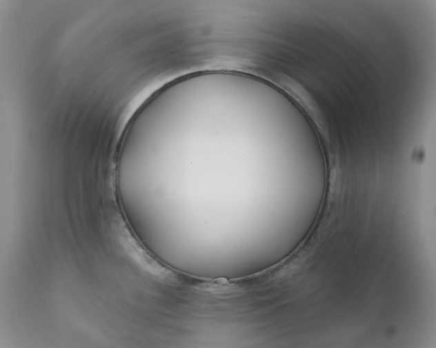 X0000112161340200908281355