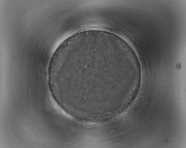 X0000112161341200908281355