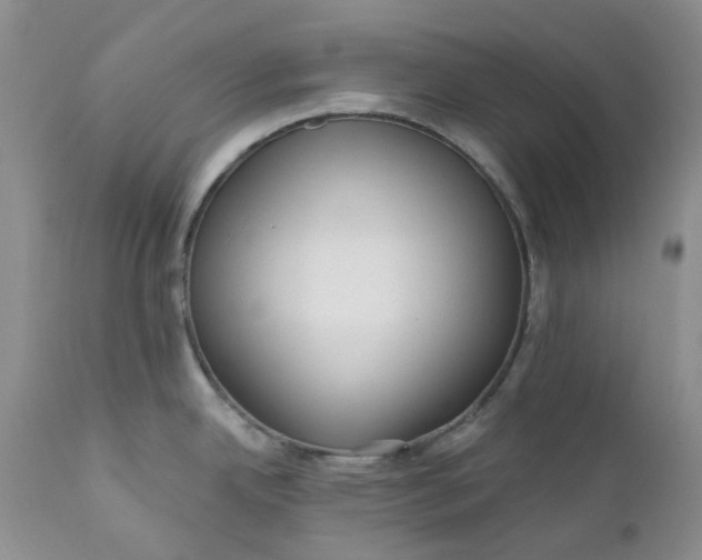 X0000112161342200908281355