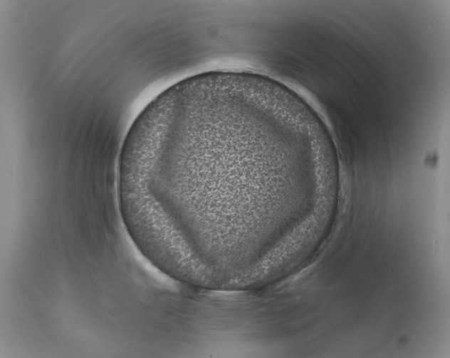 X0000112161343200908281355