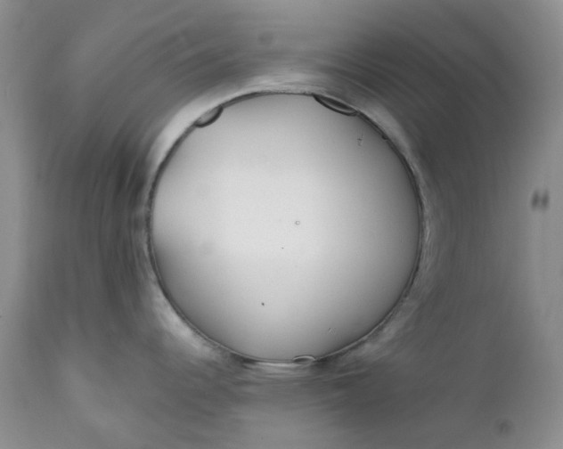 X0000112161344200908281355