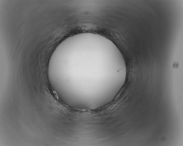 X0000112161345200908281354