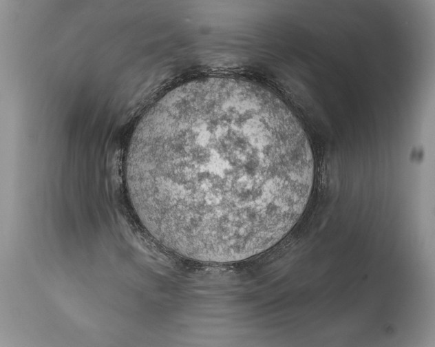 X0000112161346200908281354