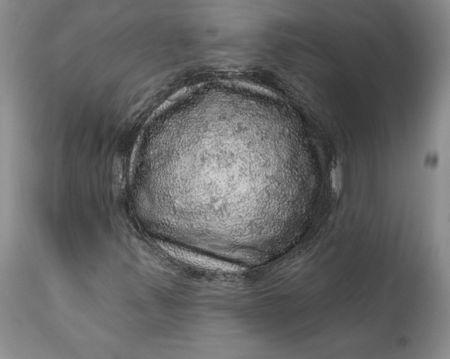 X0000112161347200908281354