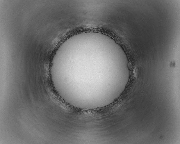 X0000112161348200908281354