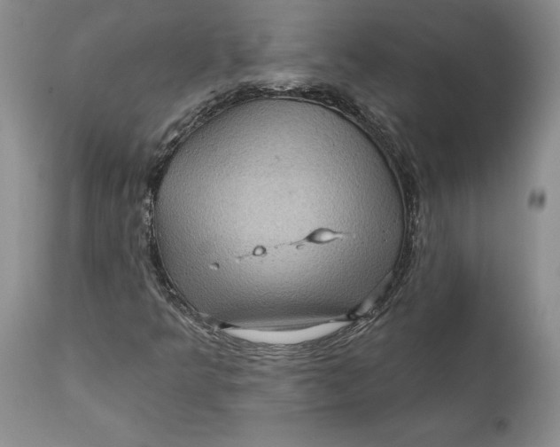 X0000112161349200908281354