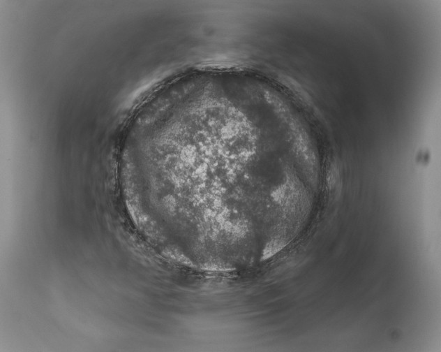 X0000112161350200908281354