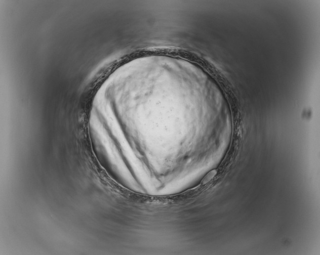 X0000112161351200908281354