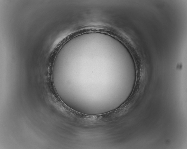 X0000112161352200908281354